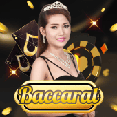 Baccarat on Calico cat