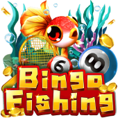 Bingo Fishing on Calico cat