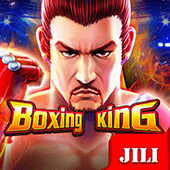 Boxing King on Calico cat