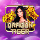 Dragon Tiger on Calico cat