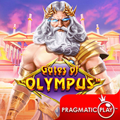 Gates of Olympus on Calico cat