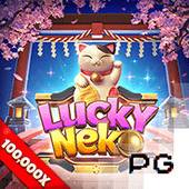 Lucky Neko on Calico cat