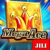 Mega Ace on Calico cat