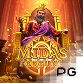 Midas Fortune on Calico cat