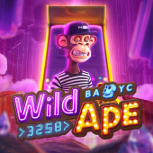 Wild Ape on Calico cat