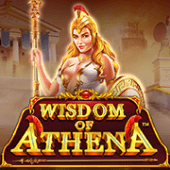 Wisdom of Athena on Calico cat